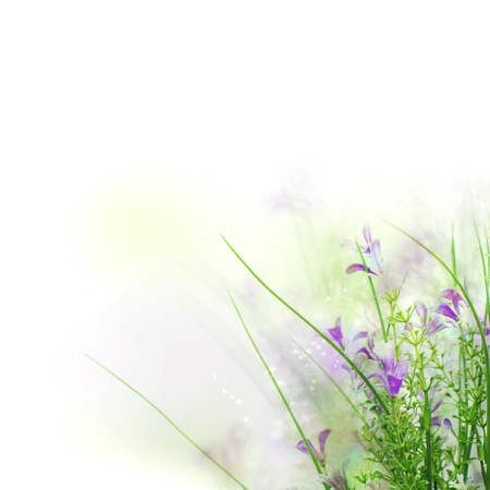 Beautiful spring flower background with white copy space の写真素材