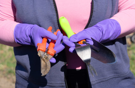 Female hands in rubber gloves holding garden tools.