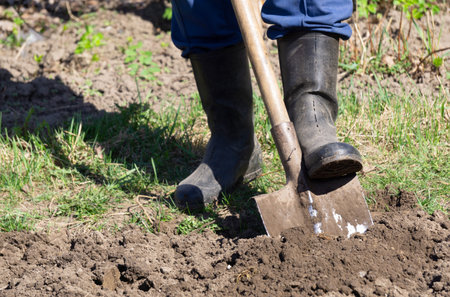 Man digging ground in the garden for plants.