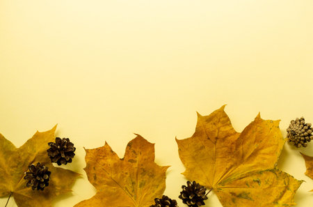 Dried maple leaves with pine cones on a light yellow background.