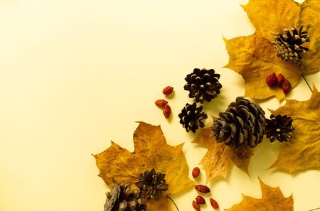 Autumn flat lay of maple leaves, cones and rosehip berries.の写真素材