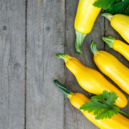 Young yellow zucchini on a wooden background. Space for textの写真素材