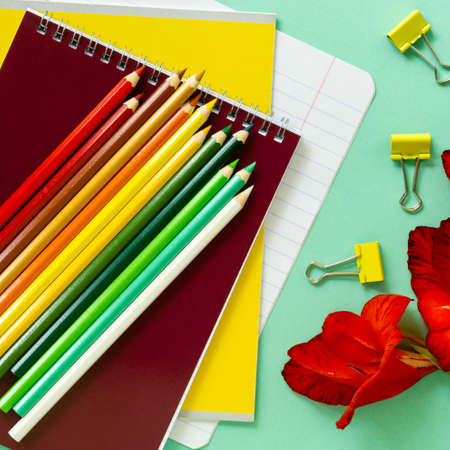 Back to school flat lay. Various stationery with flowers on a mint backgroundの写真素材
