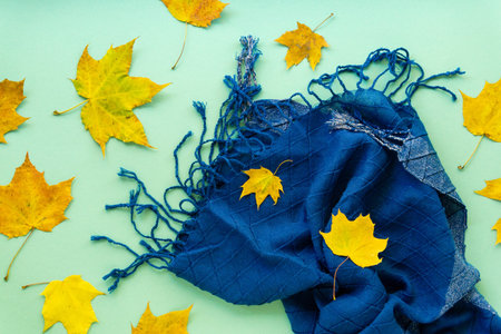 Autumn flat lay of maple leaves and blue scarf on a mint background
