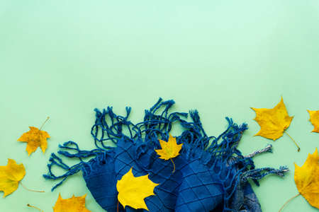 Autumn flat lay of maple leaves and blue scarf on a mint background with space for textの写真素材