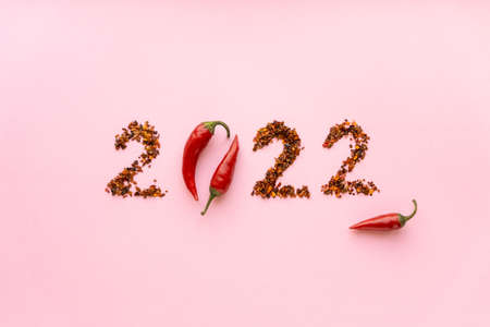 New year and christmas flat lay. Text 2022 made of pepper on pink background, top viewの写真素材
