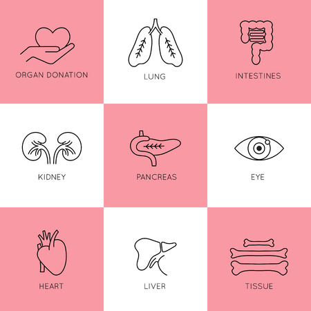 Organ Transplantation icon setのイラスト素材