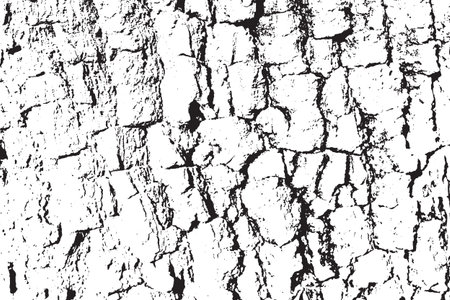 A Vector Wood texture. Abstract background, tree bark. Overlay illustration over any design to create natural wooden effect and depth. For posters, banners, retro and urban designs.のイラスト素材