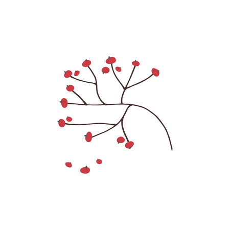 Vector Christmas floral elementのイラスト素材