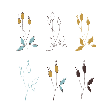 Vector Christmas floral elementのイラスト素材