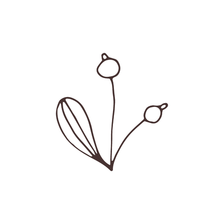 A Vector Christmas floral element on a plain background.のイラスト素材