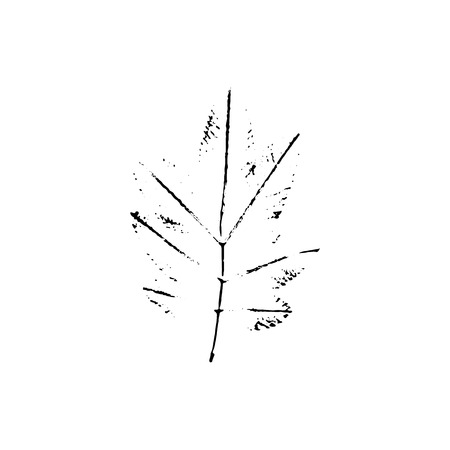 Vector leaf imprintのイラスト素材