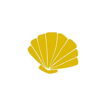 hand drawn sea shell