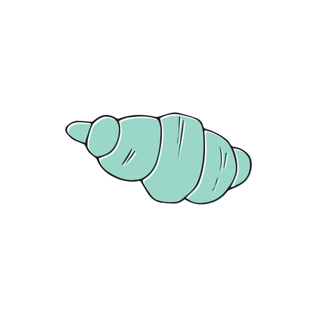 Vector hand drawn sea shell. Isolated individual object.のイラスト素材