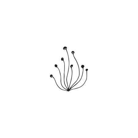 Vector hand drawn seaweed. Isolated individual object, algae. Sea clipart for greeting cards, weddings, stationery, surface design, scrapbooking. Part of a large sea collection.のイラスト素材