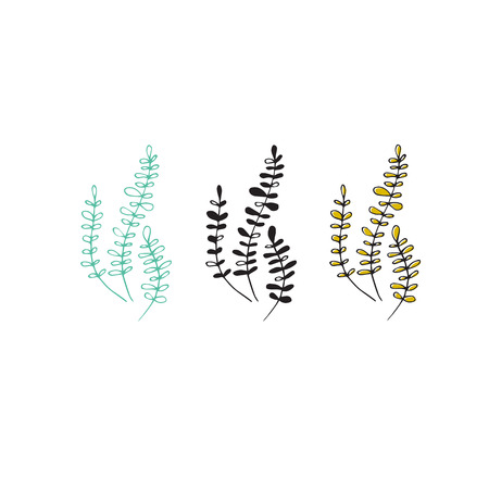 Vector hand drawn seaweeds. Isolated individual objects, algae. Sea clipart for greeting cards, weddings, stationery, surface design, scrapbooking. Part of a large sea collection.のイラスト素材