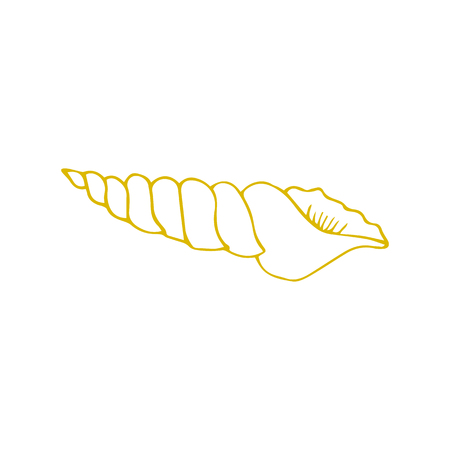 Vector hand drawn sea shell. Isolated individual object. Clipart for greeting cards, weddings, stationery, surface design, scrapbooking. Part of a large sea collection.のイラスト素材
