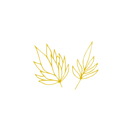 Vector hand drawn seaweeds. Isolated individual objects, algae. Sea clipart for greeting cards, weddings, stationery, surface design, scrapbooking. Part of a large sea collection.のイラスト素材