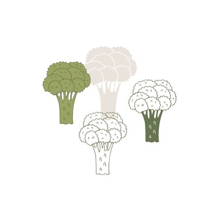 Vegetables. Vector hand drawn broccoli. Healthy nutrition, vegetarians, vegans.のイラスト素材