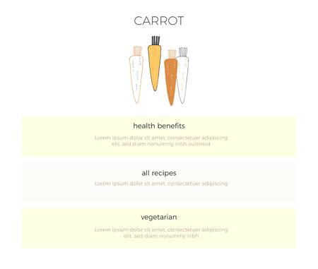 Carrot. Vector template with hand drawn vegetables. Healthy nutrition, vegetarians, vegans. Isolated object.のイラスト素材