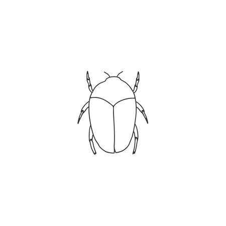 A scarab beetle. Vector minimal icon. Hand drawn illustration, insects.のイラスト素材