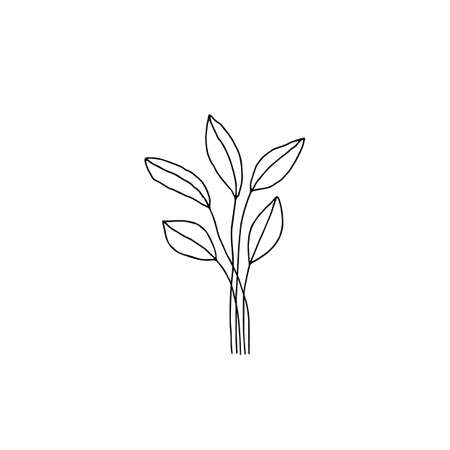 Floral icon, vector graphics. Hand drawn branches with leaves.のイラスト素材