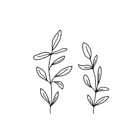 Floral icons, simple vector graphics. Hand drawn branches with leaves.のイラスト素材