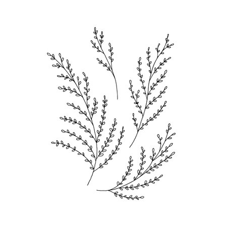 Floral black and white icons, vector graphics. Hand drawn branches with leaves.のイラスト素材