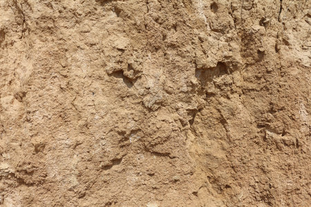 Sandy clay soil. The natural texture of the ground on the sea shore, close up. Abstract background.の写真素材