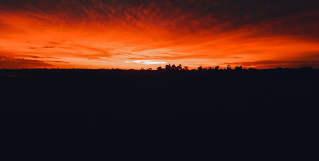 Bright sundown over the dark woods in the forest. Beautiful sunset over the treetops in orange red color palette.の写真素材