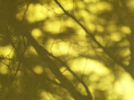 Dense tree shadows on a yellow wall in a sunny day. Abstract natural background.