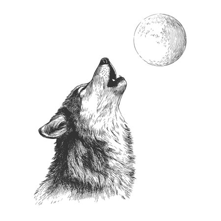Wolf howling at the moon illustration vintage engraved vector in bold silhouette style. Iconic...