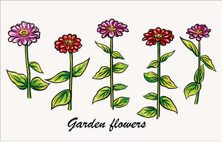 Set of floral vector illustrations EPS 10のイラスト素材