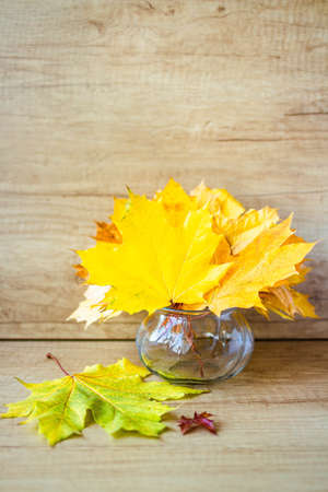 A bouquet of yellow autumn maple leaves in a vase against a white tree background. autumn composition.の写真素材