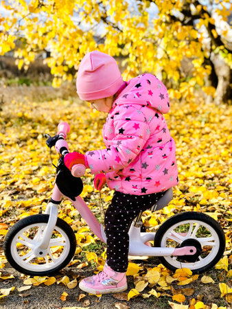 A preschool child rides a bicycle in an autumn park. The concept of a happy childhood.の写真素材