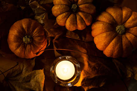 Halloween's holiday attributes. Three pumpkins on a black background with spider webs and autumn leaves. Trick or treat.の写真素材