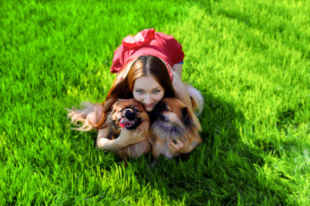 A young girl hugs two Pekingese on a bright green lawn. The concept of pets.の写真素材