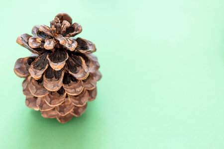 Cone on a green background with copy space. The concept of the New Year and Christmas time....