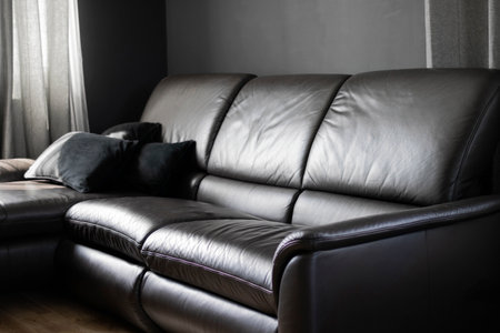 Modern interior with a black leather sofa and dark cushions in a stylish living room. Modern interior concept.の写真素材