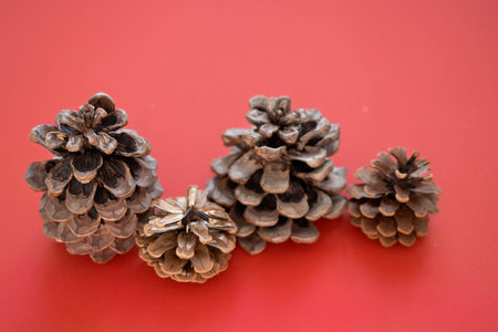 Cones on a red background with copy space.