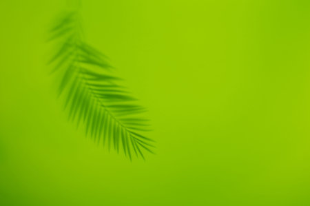 Palm leaf shadow on vivid green background. Minimal summer concept with tropical shadows. Creative...