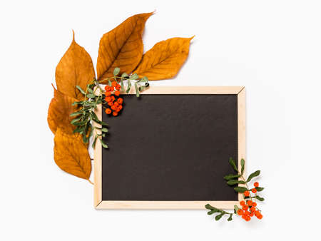 Autumn template with blank blackboard, yellow fall leaves, rowan branches and berries on white background. Seasonal sale, fall discount deal or back to school concept with copy space for your textの写真素材