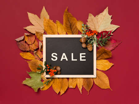 Autumn sale: blackboard with word Sale in wooden letters on a pile of red and yellow fall leaves on dark red background. Seasonal sale and discount deal conceptの写真素材