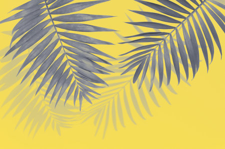 Illuminating yellow and ultimate gray - trendy colors of the year 2021. Vivid abstract background...