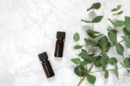 Two amber bottles of eucalyptus essential oil and fresh eucalyptus branch on marble background. Natural cosmetic ingredients for skin care products. Spa, wellness and relaxation. Top view, copy spaceの写真素材