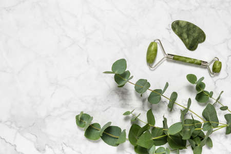 Green jade roller and gua sha stone for facial massage and eucalyptus branch on marble background. Home beauty selfcare accessories. Face roller for anti age wrinkle treatment. Top view, copy spaceの写真素材