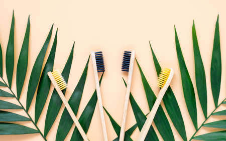 Eco-friendly bamboo toothbrushes and green palm leaves on pastel beige background. Natural wooden tooth brushes as plastic free dental care product. Zero waste, sustainable lifestyle conceptの写真素材