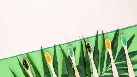 Eco-friendly bamboo toothbrushes and palm leaves on pastel beige and green background. Colorful natural wooden tooth brushes as plastic free dental care product. Zero waste, sustainable lifestyleの写真素材