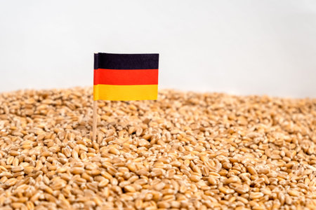German flag in wheat grain pile as background. Concept of food shortage, grain supply crisis and...