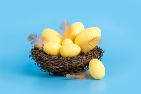 Yellow easter eggs and feathers in nest on blue background. Happy Easter and holiday preparation. Close-up of traditional festive decorationの写真素材
